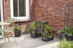 green basics stack & grow large living noir